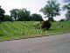 Arlington National Cemetery - Arlington, VA